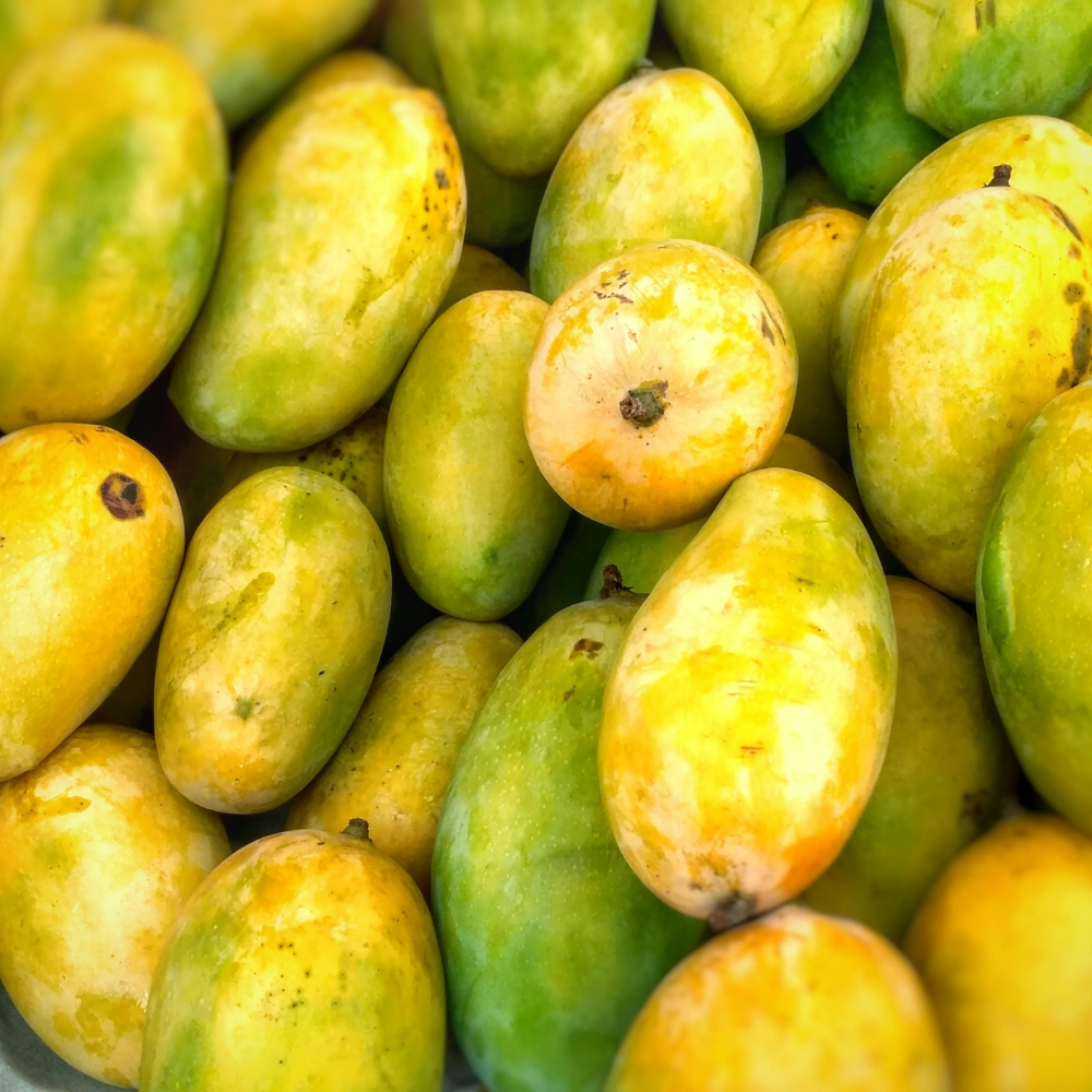 Mango Desi (دیسی آم), Export Quality (Delivery Will Start After "15 June, 2026")