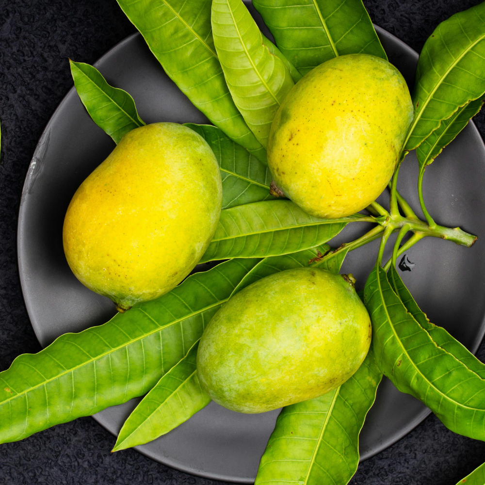 Mango Desi (دیسی آم), Export Quality (Delivery Will Start After "15 June, 2026")