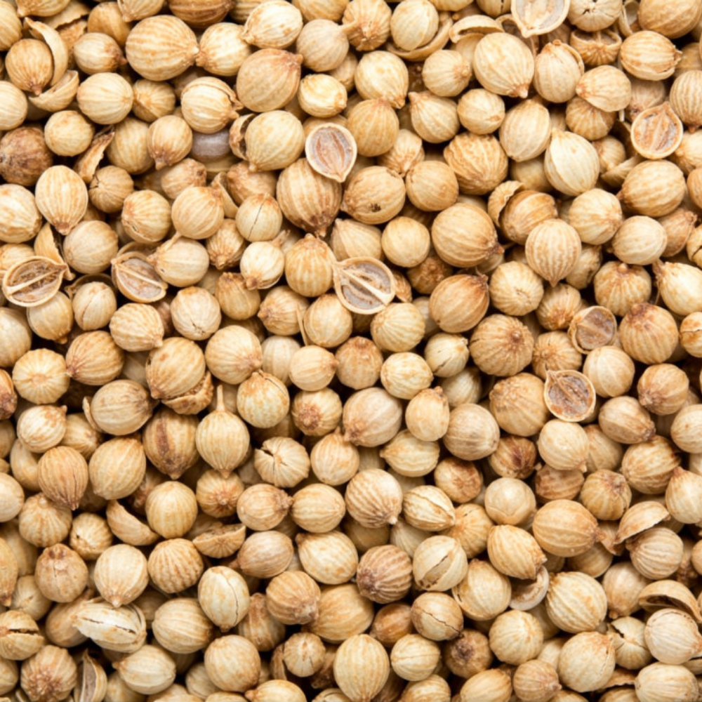 Coriander Seeds, Sukha Dhania (ثابت دھنیا)