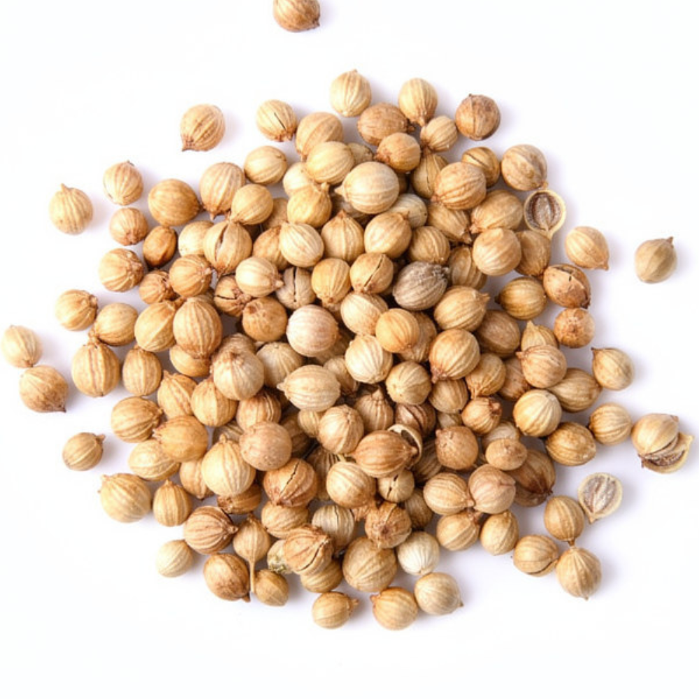 Coriander Seeds, Sukha Dhania (ثابت دھنیا)