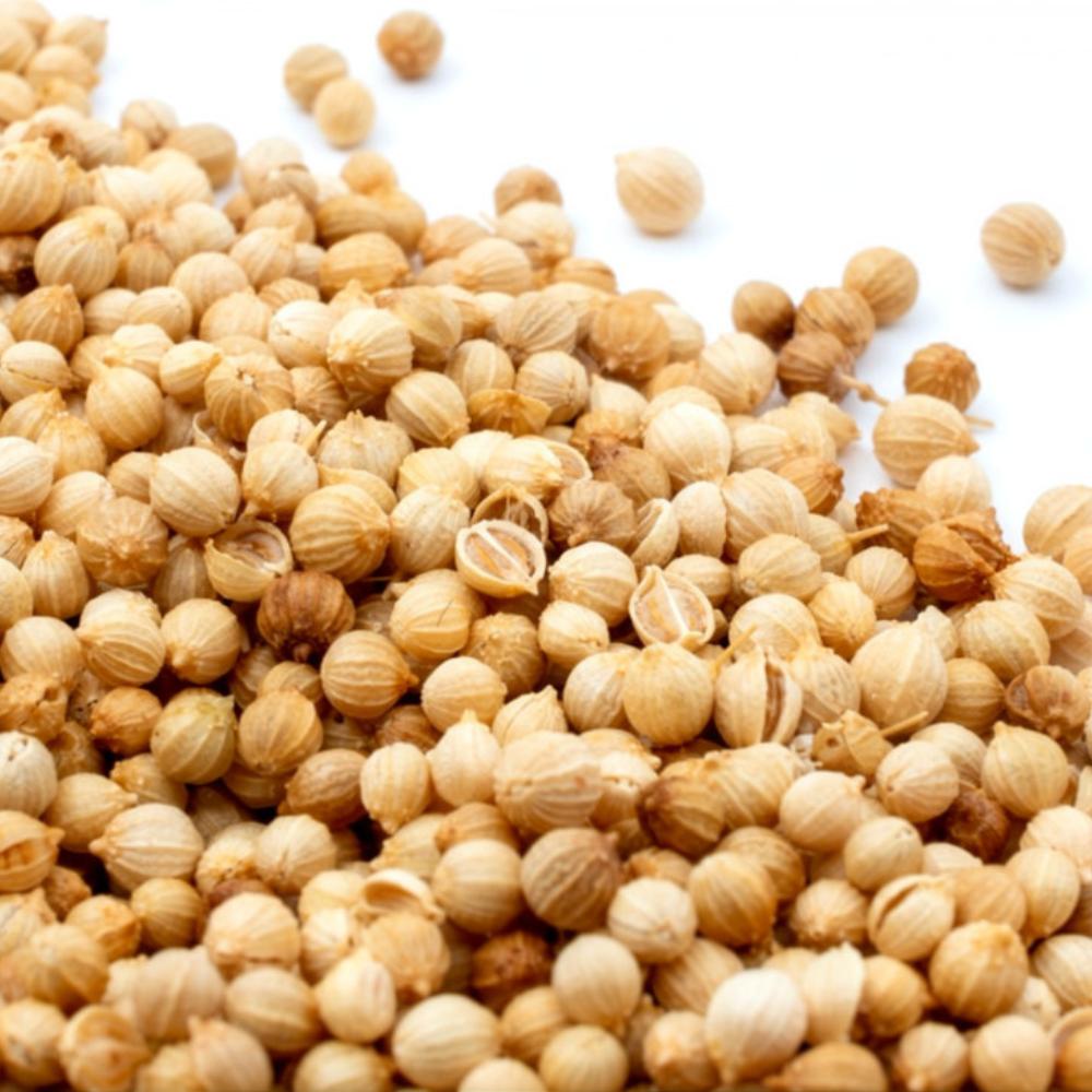 Coriander Seeds, Sukha Dhania (ثابت دھنیا)