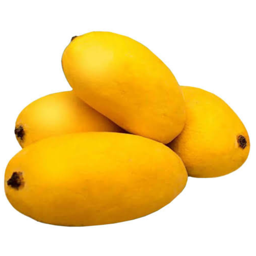 Mango Fajri Kalan (فجری)