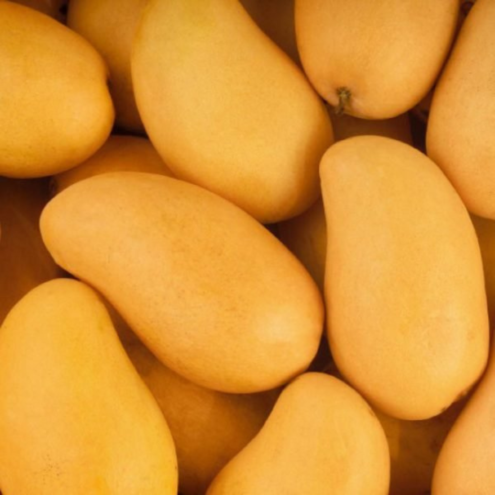 Mango Mousami Chaunsa (موسمی چونسا)
