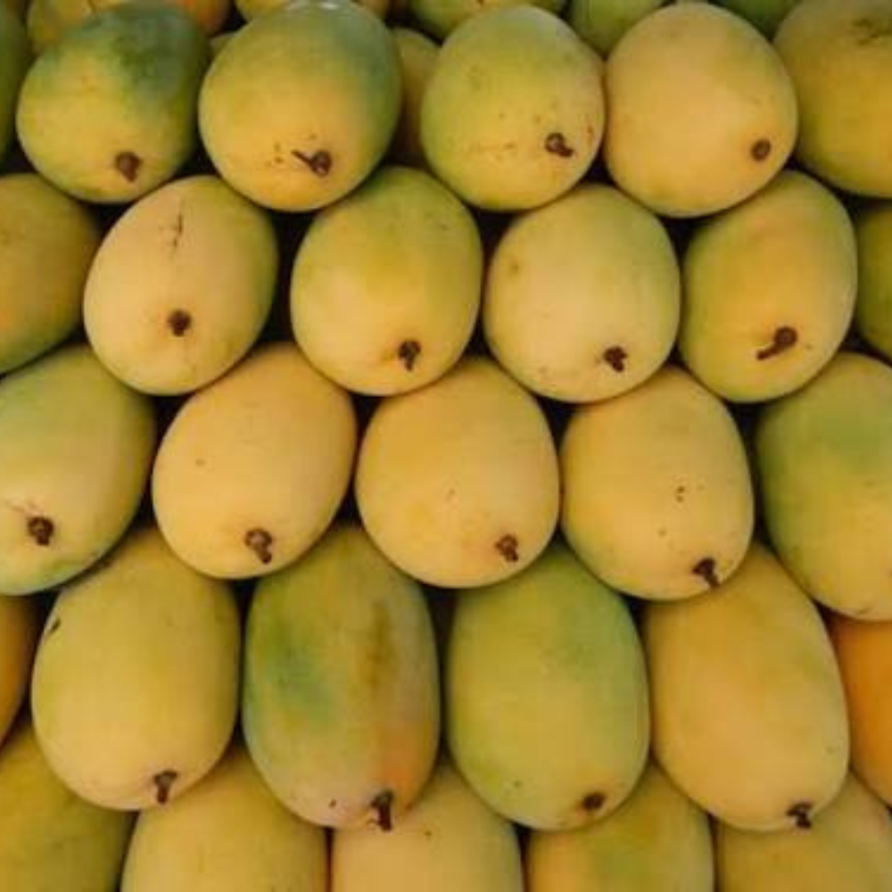 Mango Mousami Chaunsa (موسمی چونسا)