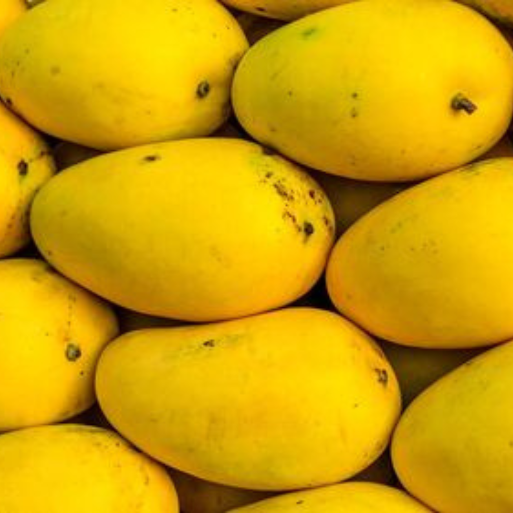 Mango Saroli (سرولی)