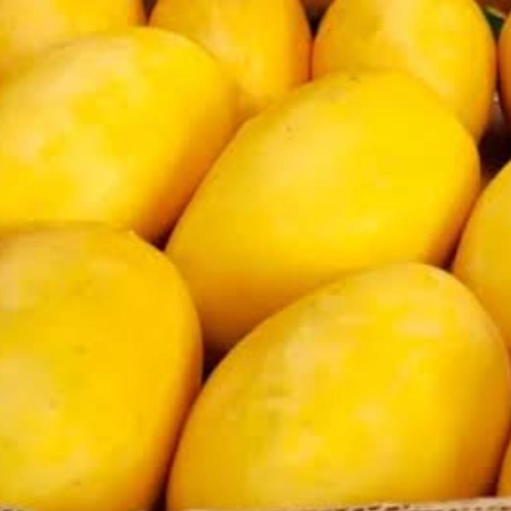 Mango Saroli (سرولی)