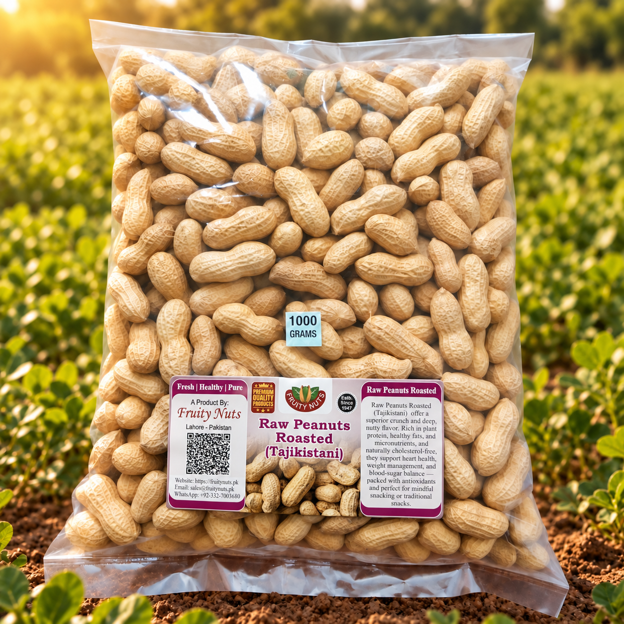 Roasted Raw Peanuts  (Tajikistani) (مونگ پھلی تاجکستان)