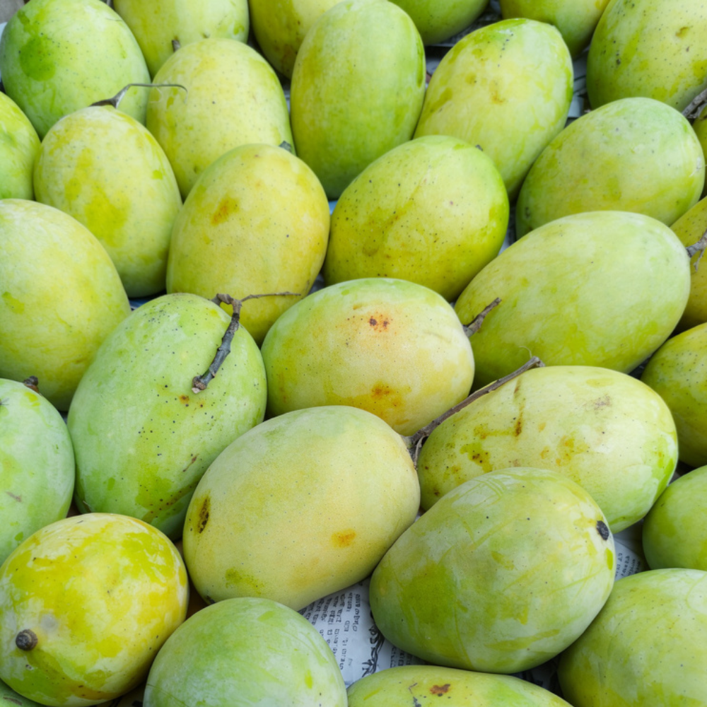 Mango Langra (لنگڑا آم), Export Quality (Delivery Will Start After "15 June, 2026")
