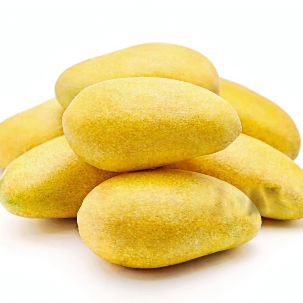 Mango Dussehri (دسہری), Export Quality (Delivery Will Start After "15 June, 2026")