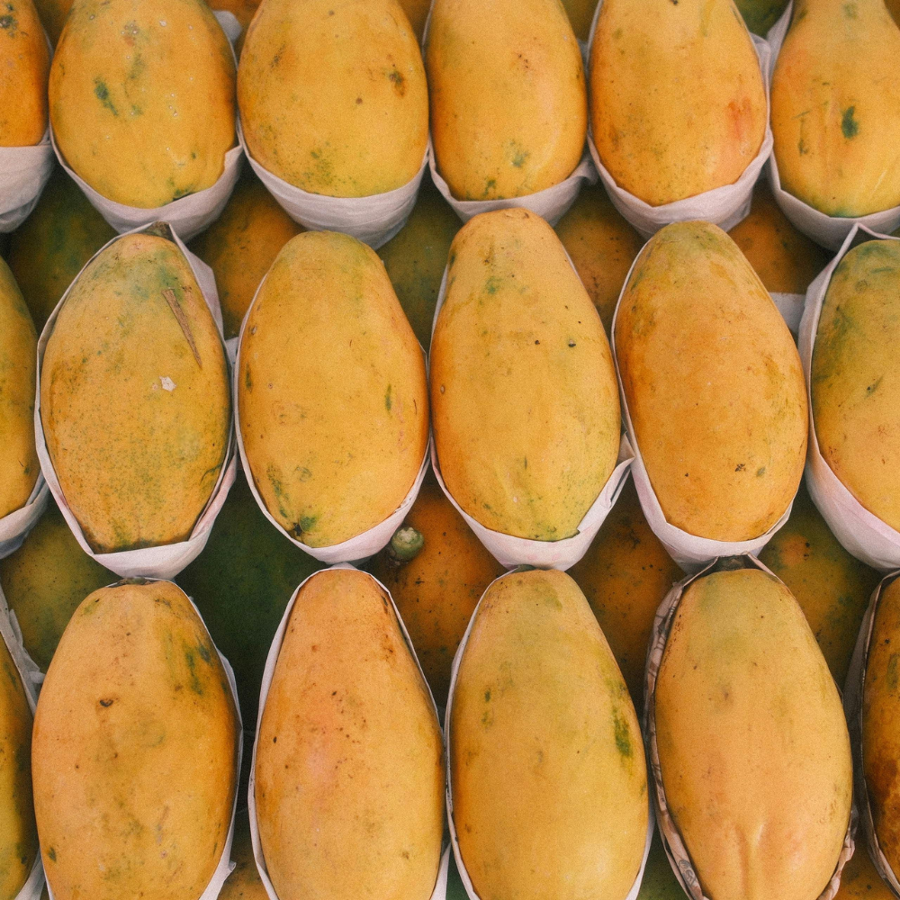 Mango Chaunsa Nawab Puri (چونسا نواب پوری), Export Quality (Delivery Will Start After "5 July, 2026")