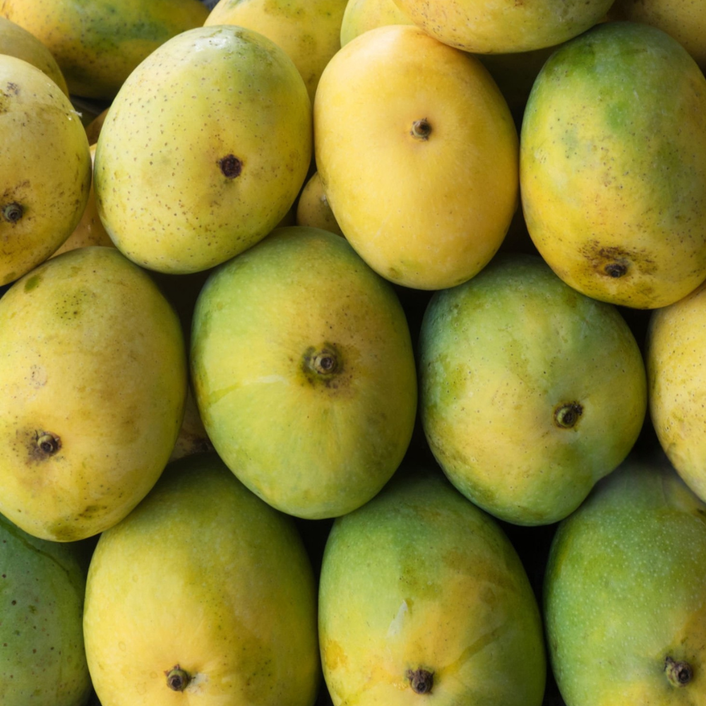 Mango Langra (لنگڑا آم), Export Quality (Delivery Will Start After "15 June, 2026")