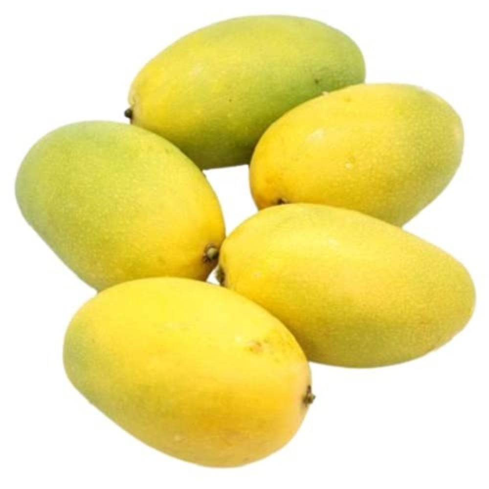 Mango Dussehri (دسہری), Export Quality (Delivery Will Start After "15 June, 2026")