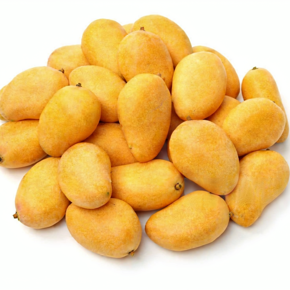 Mango Ratol 12 Number (رٹول 12 نمبر) Export Quality (Delivery Will Start After "10 July, 2026")