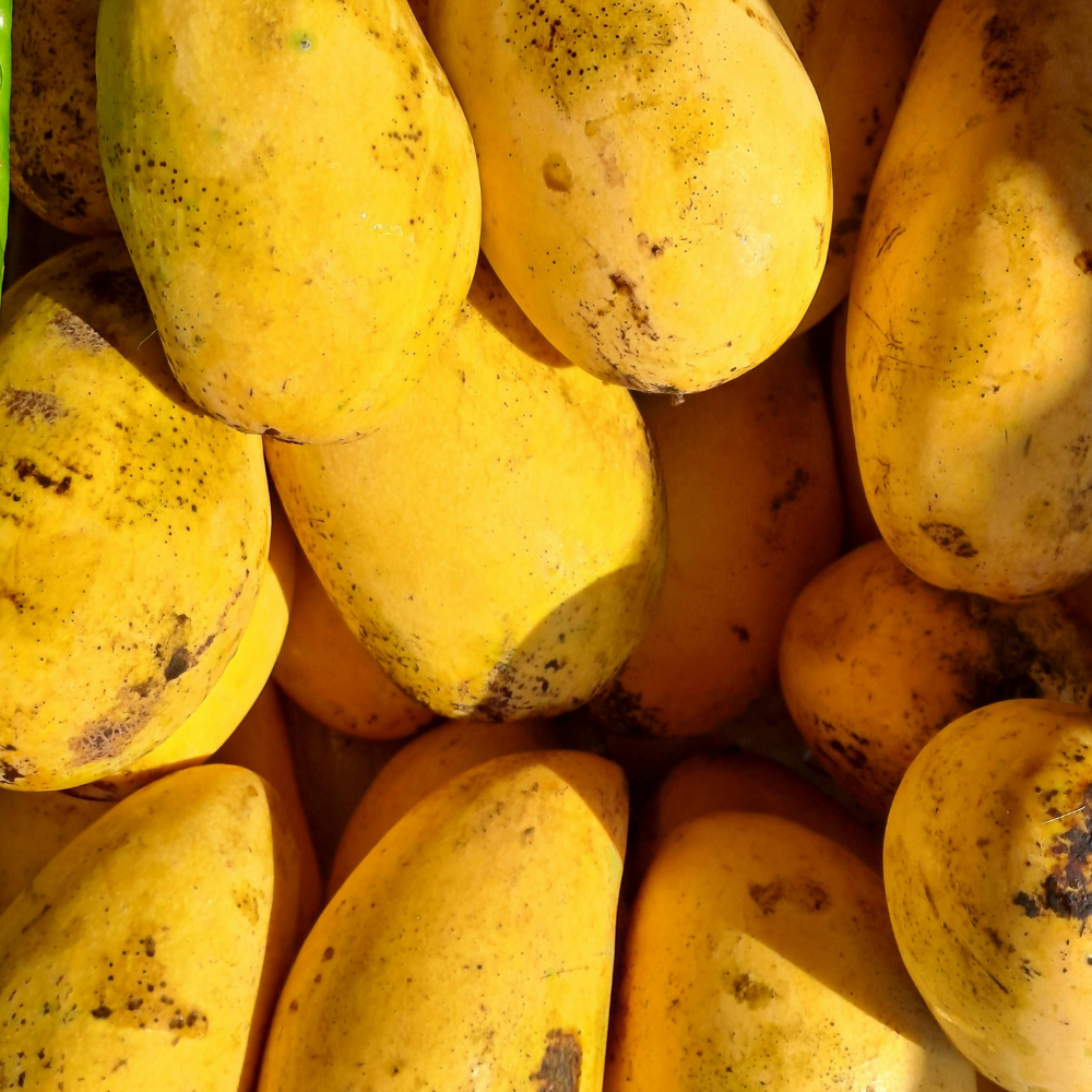 Mango Black Chaunsa (کالا چونسا), Export Quality (Delivery Will Start After "25 June, 2026")