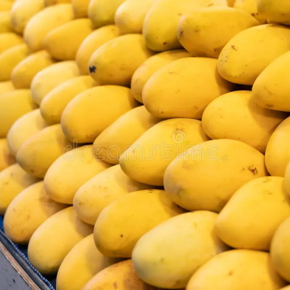 Mango White Chaunsa (سفید چونسا), Export Quality (coming soon) (Delivery Will Start After "25 June, 2026")