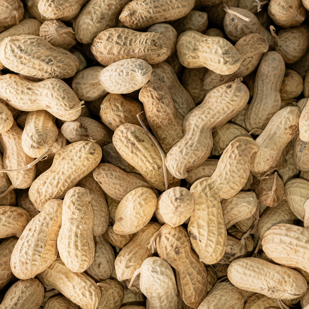 Roasted Raw Peanuts
