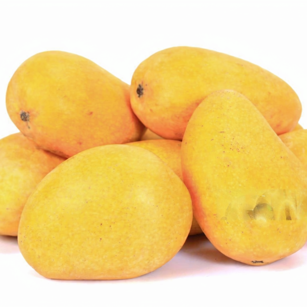 Mango Ratol 12 Number (رٹول 12 نمبر) Export Quality (Delivery Will Start After "10 July, 2026")