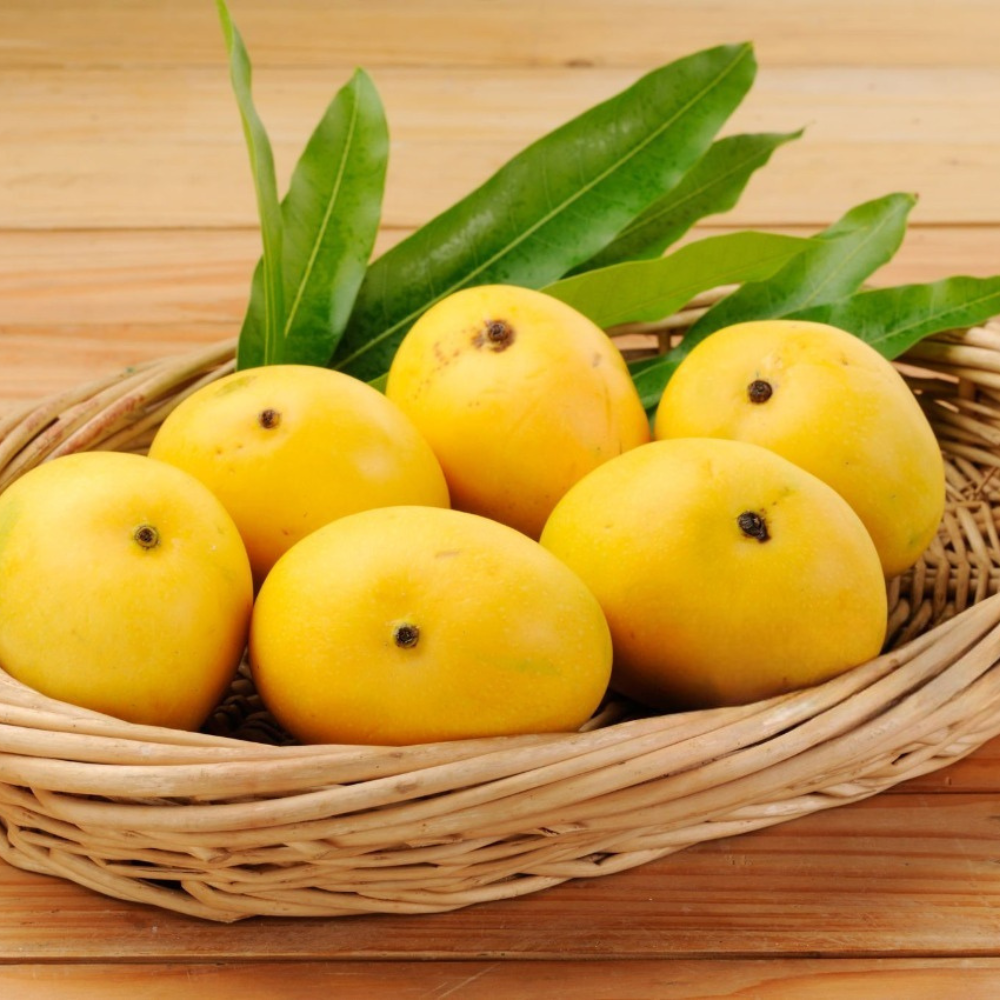 Mango Chaunsa Nawab Puri (چونسا نواب پوری), Export Quality (Delivery Will Start After "5 July, 2026")