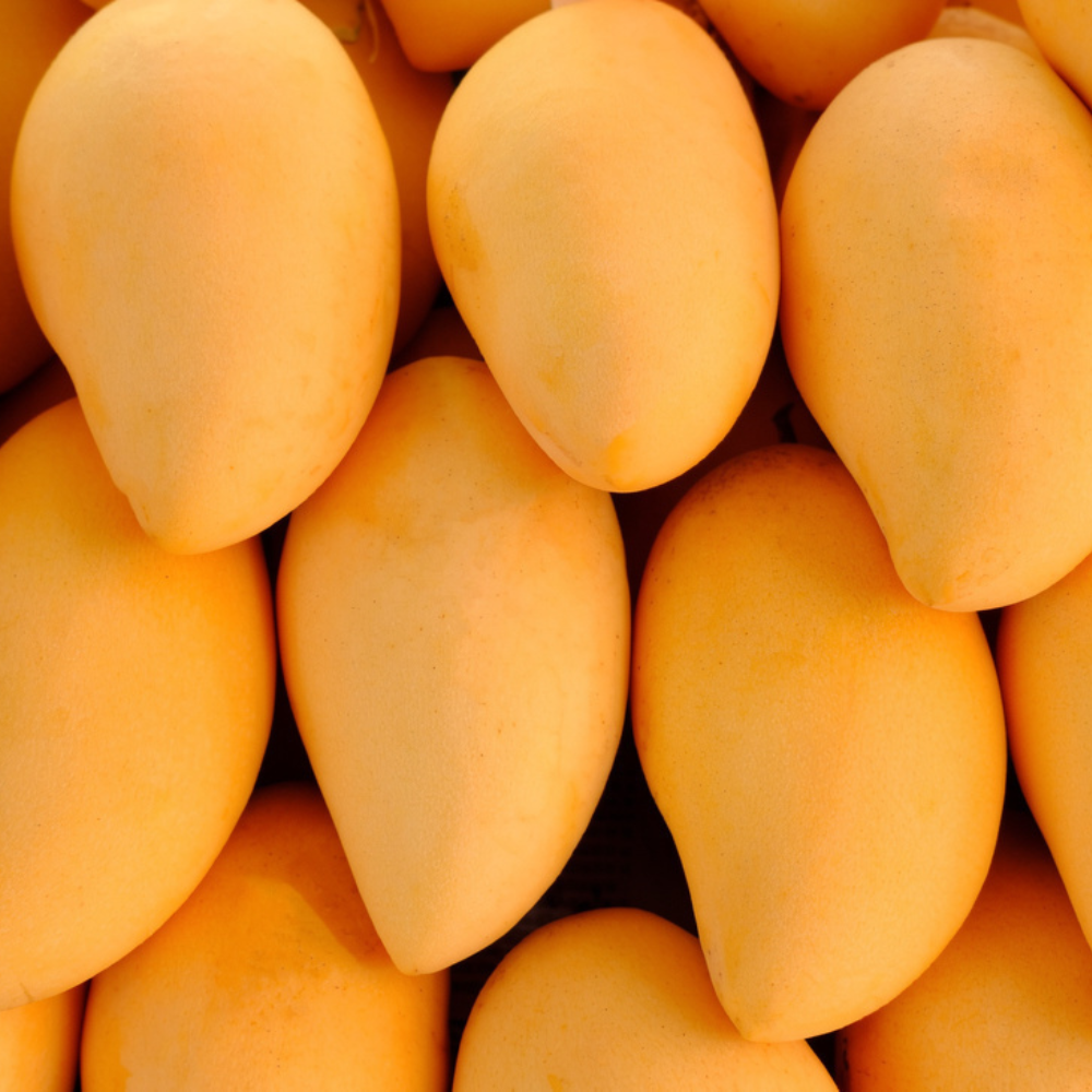 Mango Sindhri (سندھڑی آم), Export Quality (Delivery Will Start After "15 June, 2026)