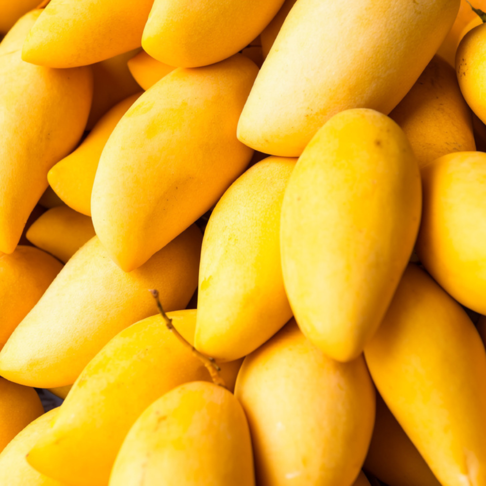 Mango Sindhri (سندھڑی آم), Export Quality (Delivery Will Start After "15 June, 2026)