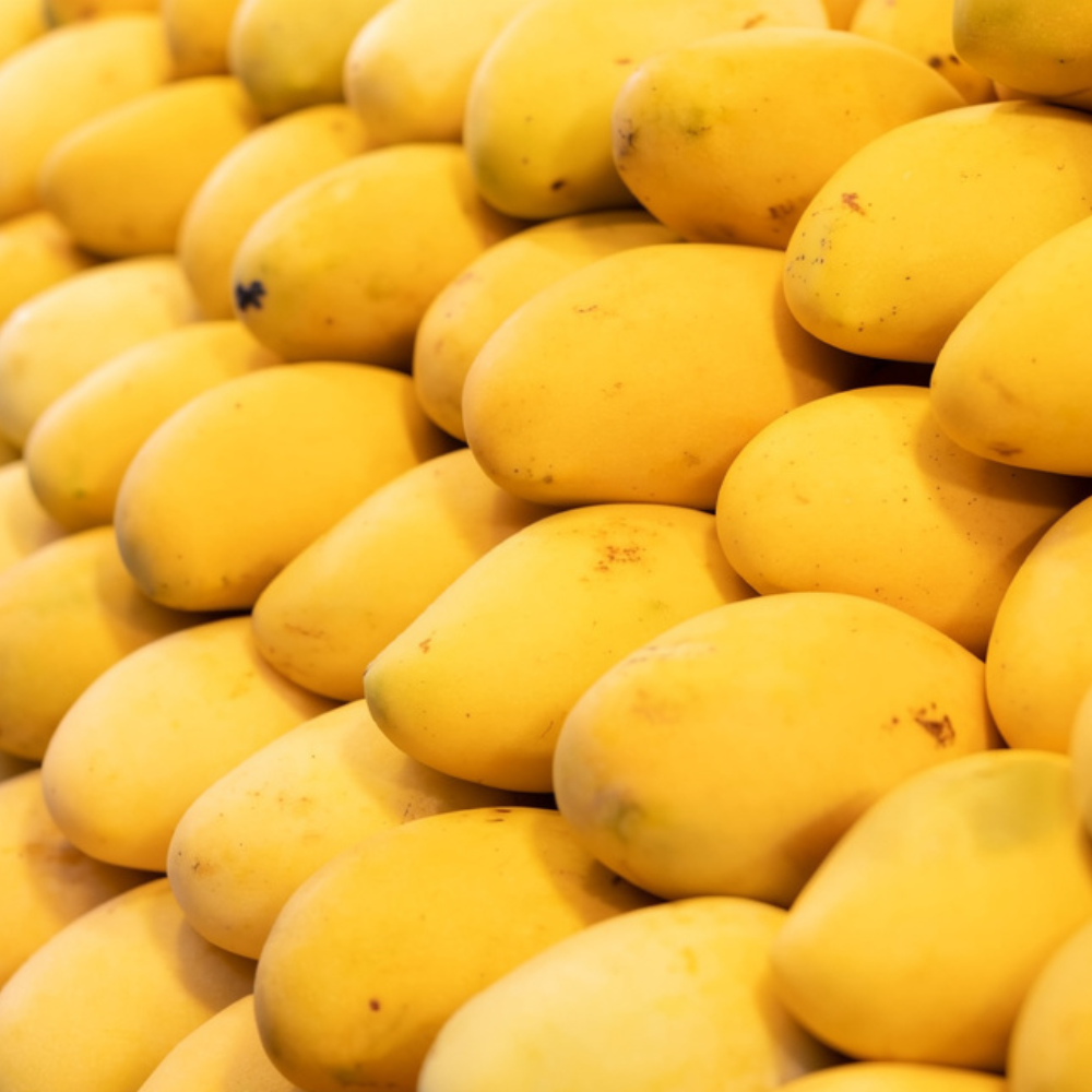 Mango Sindhri (سندھڑی آم), Export Quality (Delivery Will Start After "15 June, 2026)